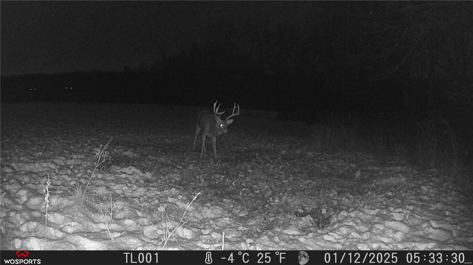 Hawk Point, MO 63349,242 Gerding RD