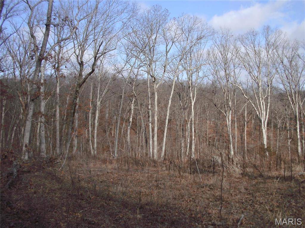 Warrenton, MO 63383,26920 Jackson CT