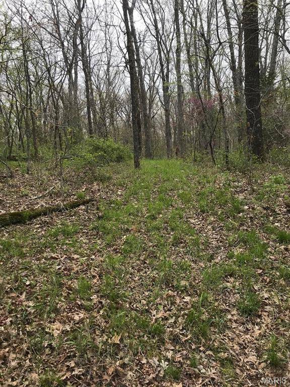 Wright City, MO 63390,0 Klausmeier Rd
