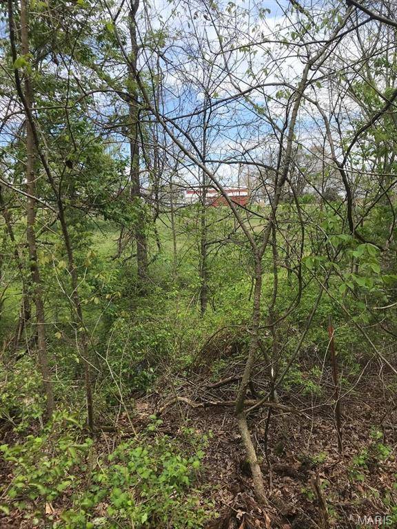 Wright City, MO 63390,0 Klausmeier Rd