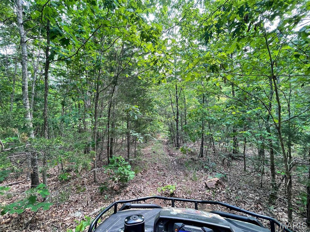 Fredericktown, MO 63645,50.10 Acres off Madison 9519