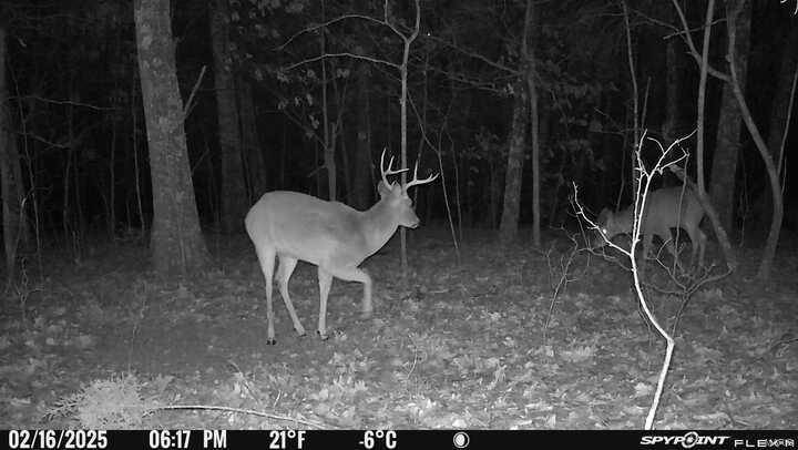 Park Hills, MO 63601,18 Simms RD