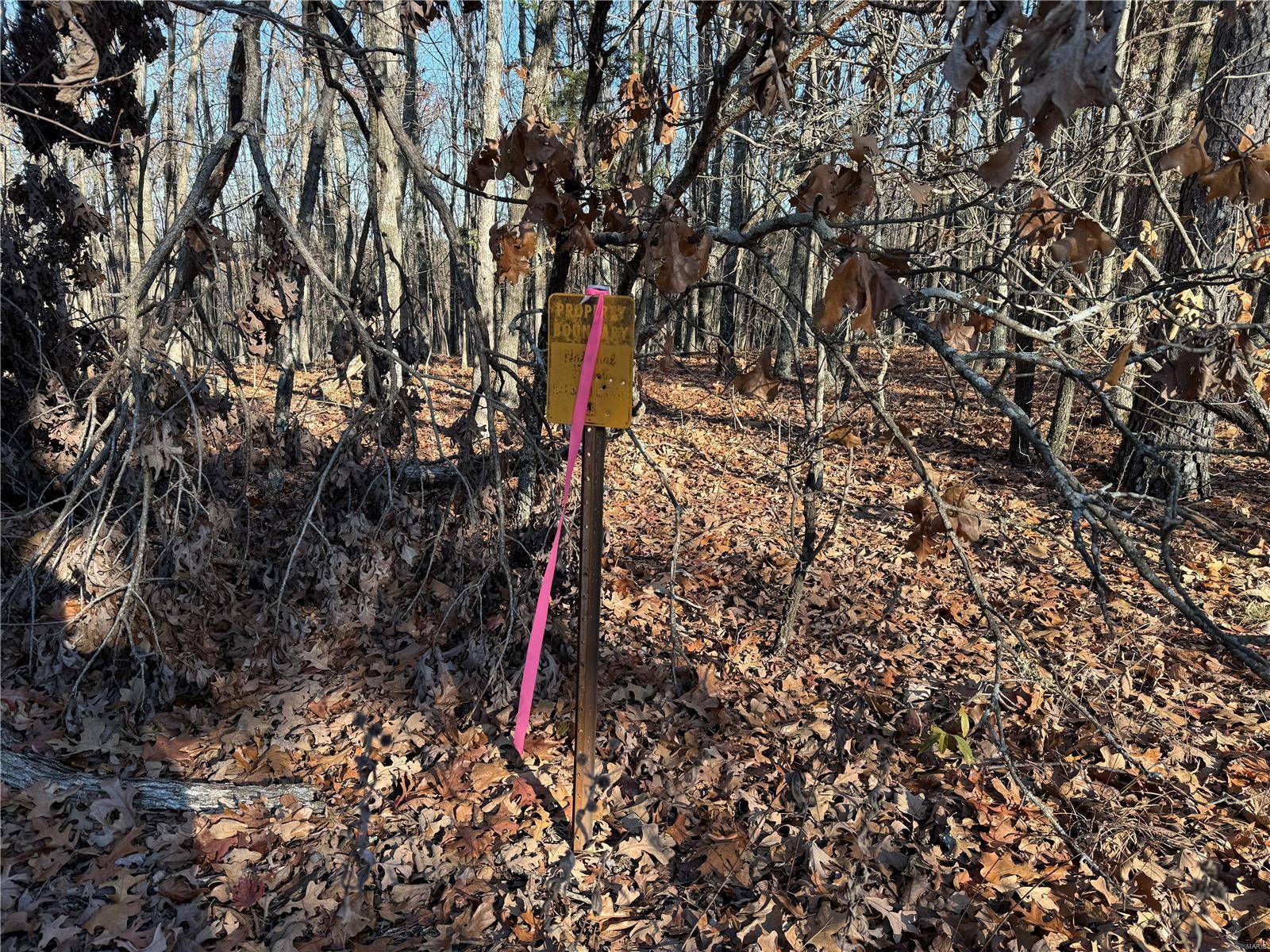 Fredericktown, MO 63645,2 A Off Bidwell Creek RD