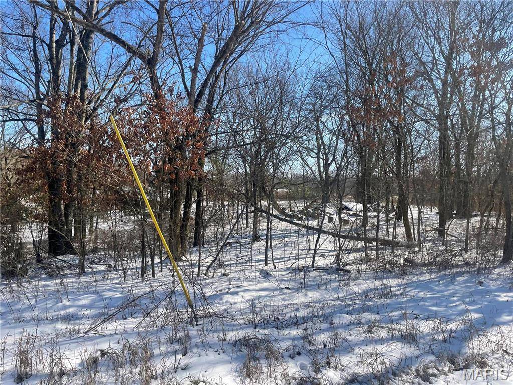 Poplar Bluff, MO 63901,0 W Hwy 67 S