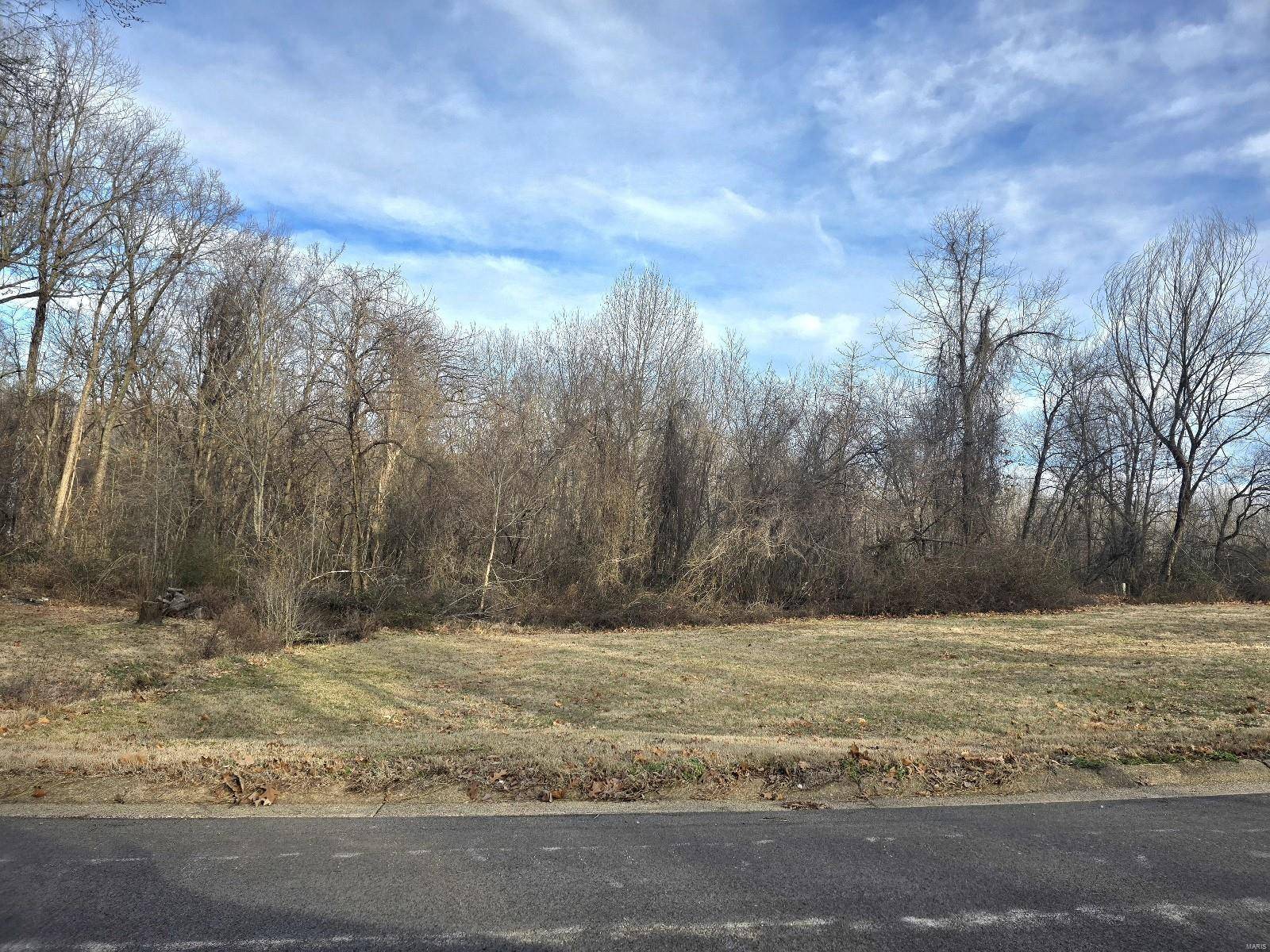 Dexter, MO 63841,0 E Kenton RD