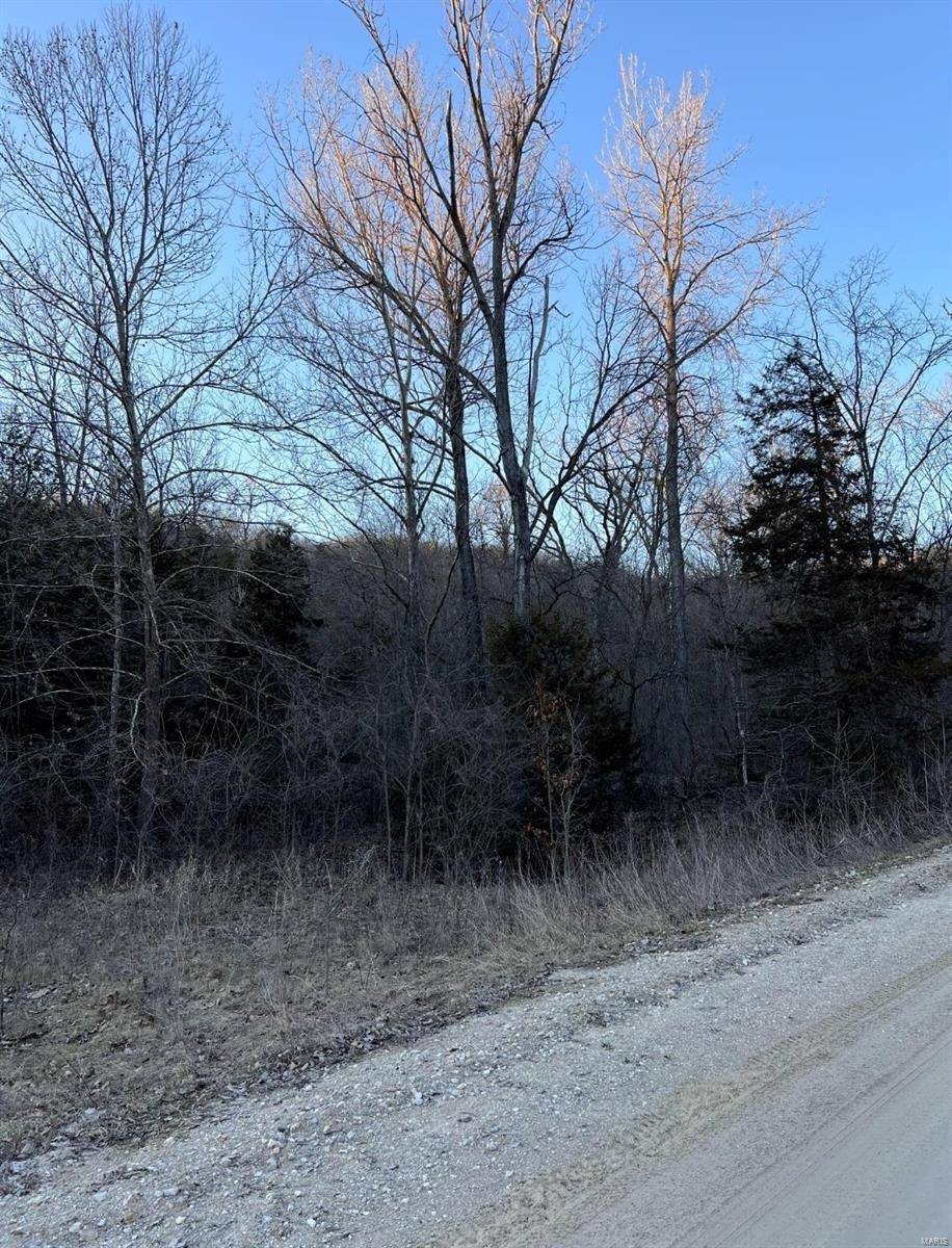 New Florence, MO 63363,3 Acres Fox Hill DR