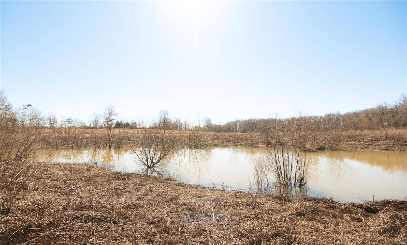 Dexter, MO 63841,7567 County Road 639