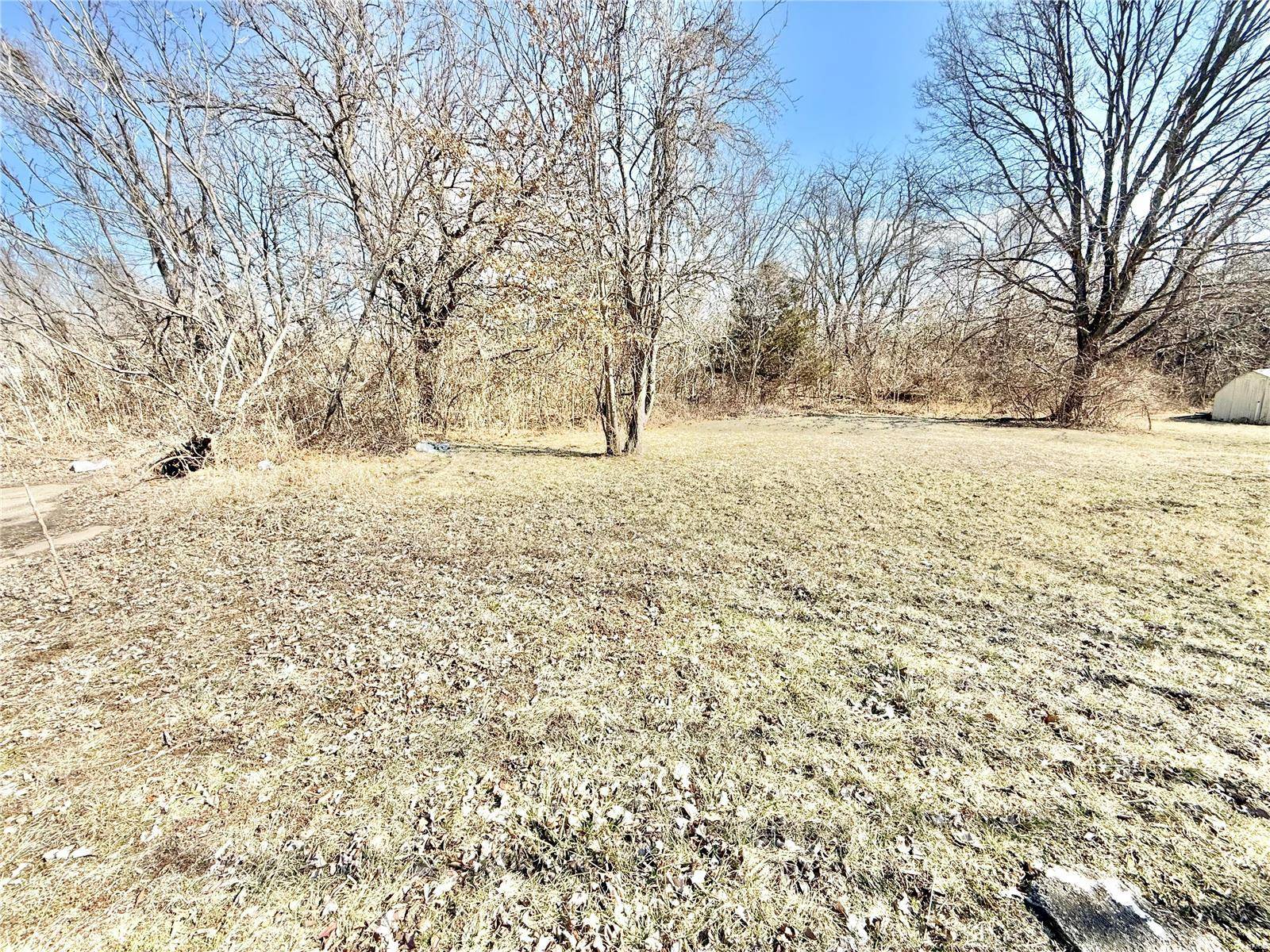 Park Hills, MO 63601,226 north Large st