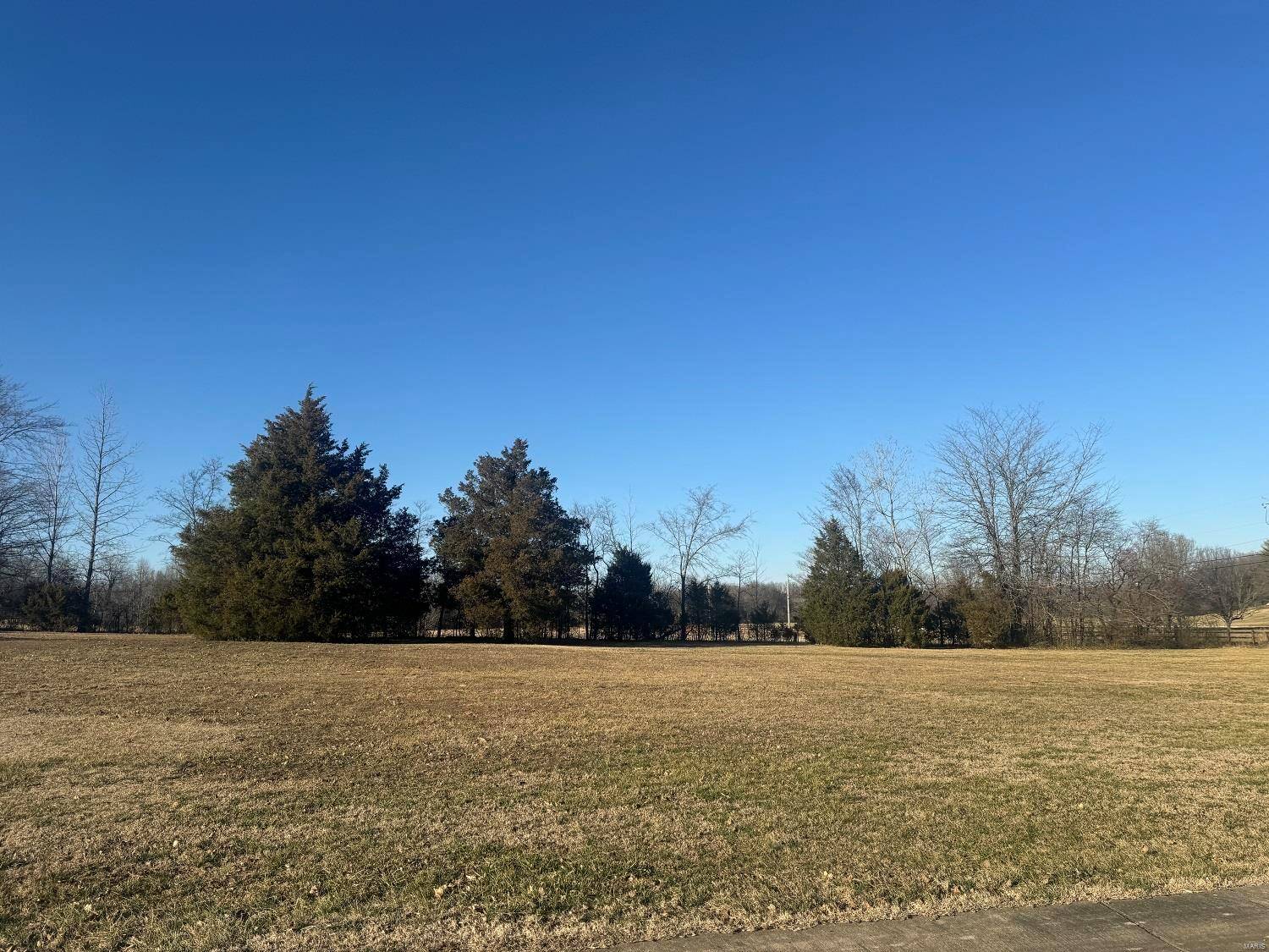 Poplar Bluff, MO 63901,0 Paradise LN