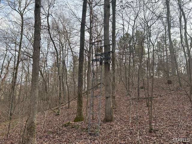 Fredericktown, MO 63645,1 Private Rd. 9516