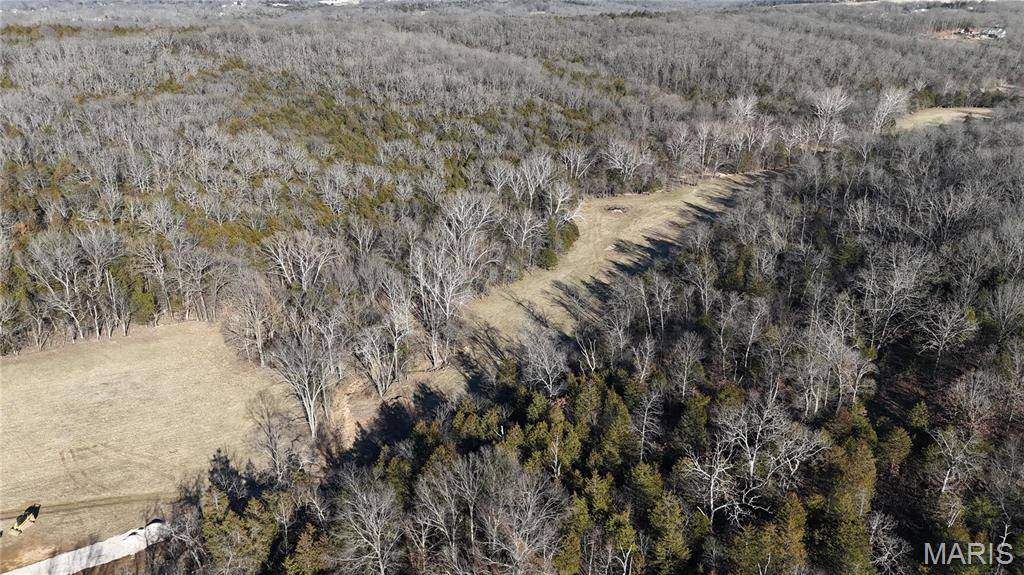 Festus, MO 63028,2 LOT Hematite Farms Road