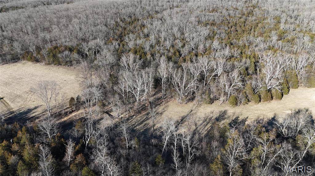 Festus, MO 63028,2 LOT Hematite Farms Road