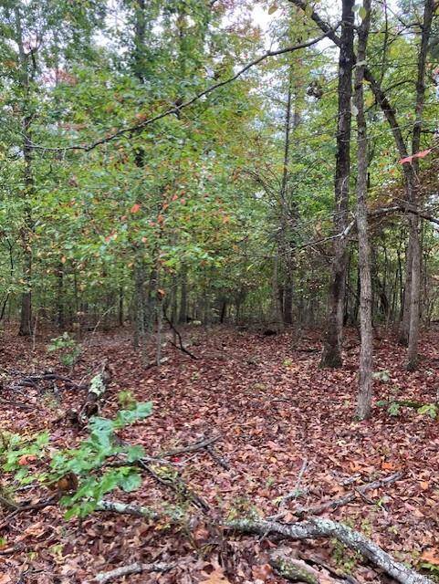 Fredericktown, MO 63645,153 Madison CR 410