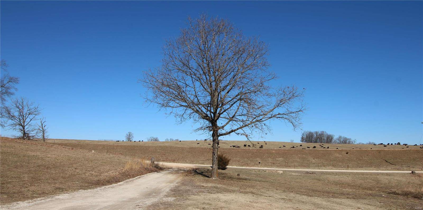 Other, MO 65793,0 STATE HWY Y