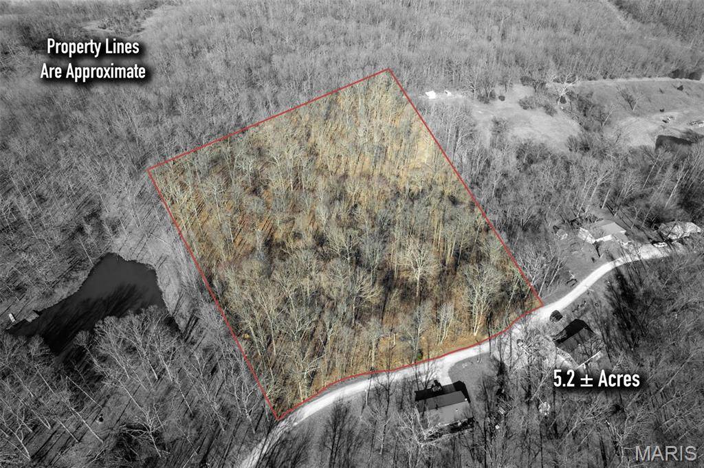 Jackson, MO 63755,292 Cotoneaster LN