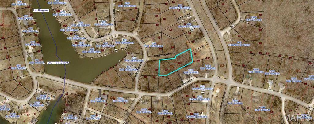 Bonne Terre, MO 63628,0 Pansy CT