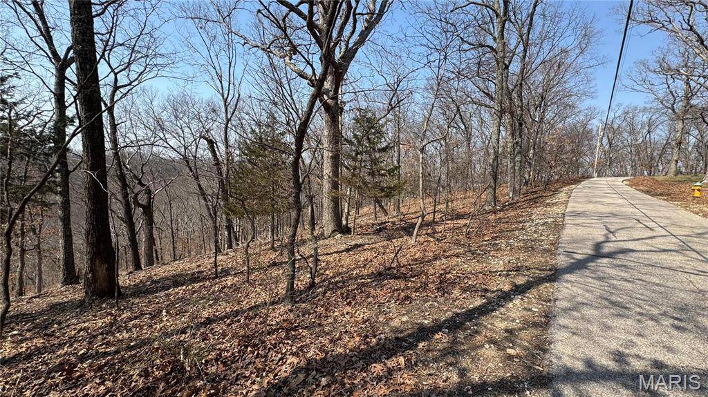 Wildwood, MO 63038,3357 Johns Cabin RD