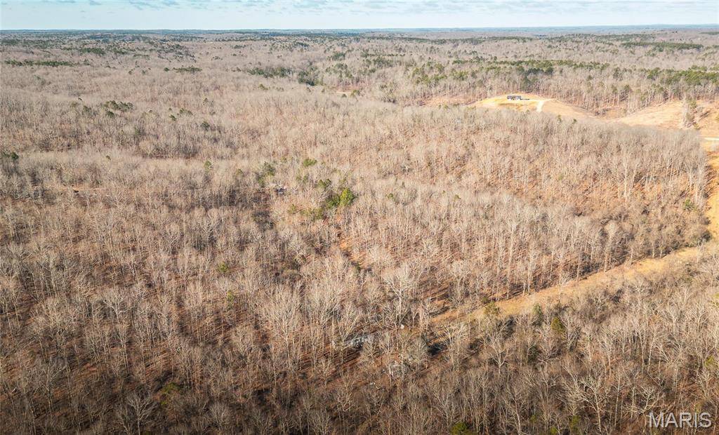 Winona, MO 65588,0 County Road 513
