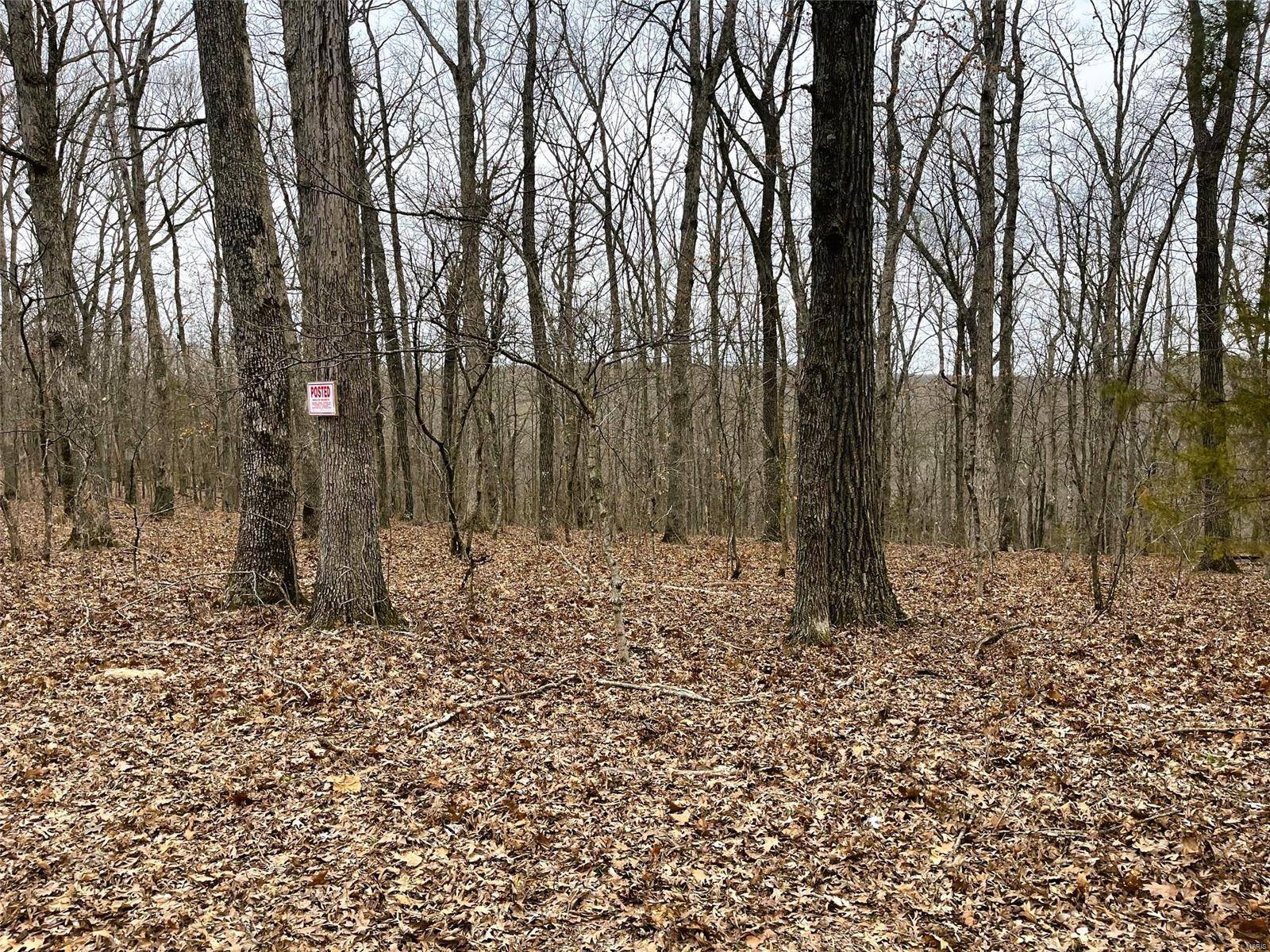 New Florence, MO 63363,23 Turkey Trail