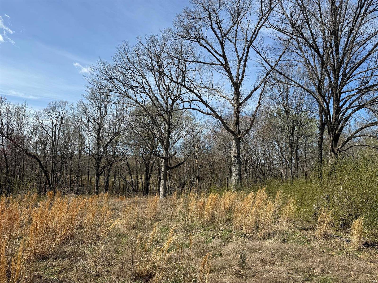 Poplar Bluff, MO 63901,0 W Market