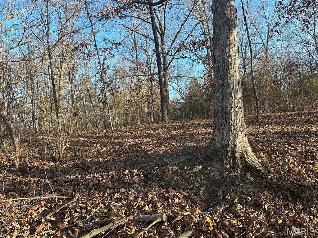 Creal Springs, IL 62922,21 Wagon Creek Loop