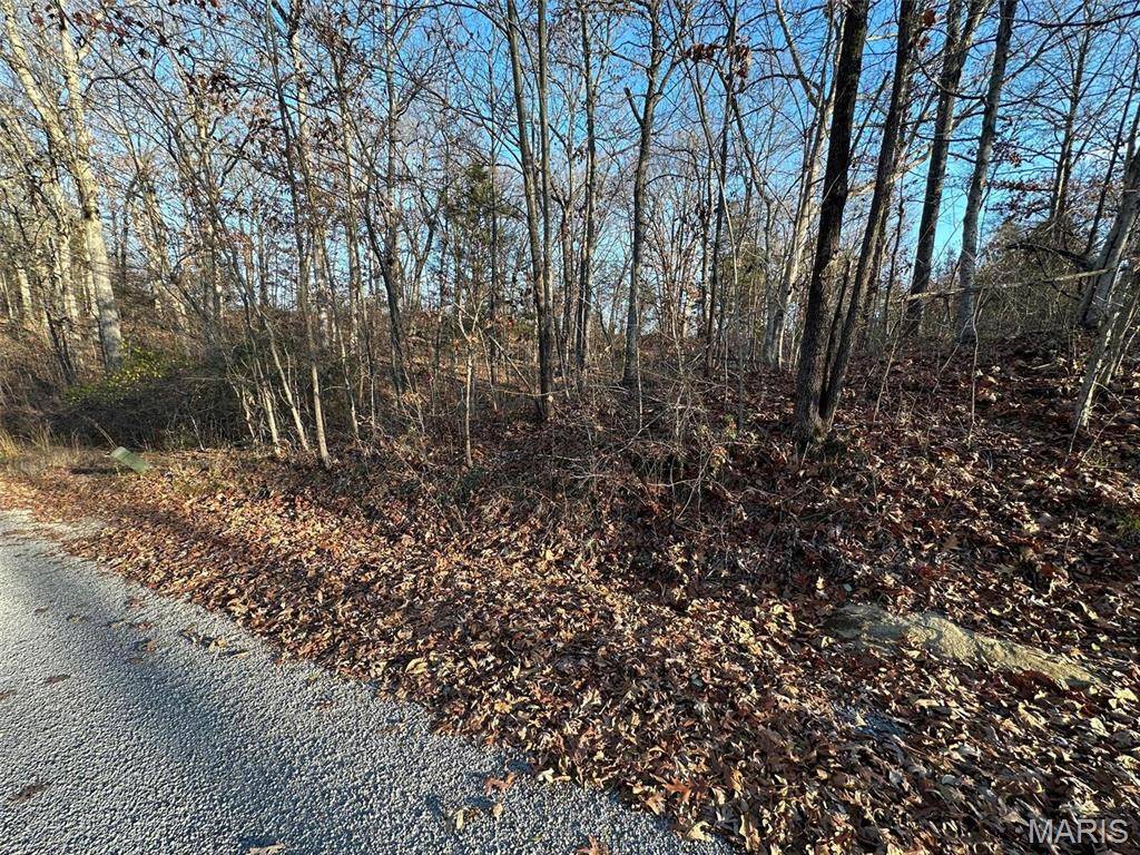 Creal Springs, IL 62922,20 Wagon Creek Loop