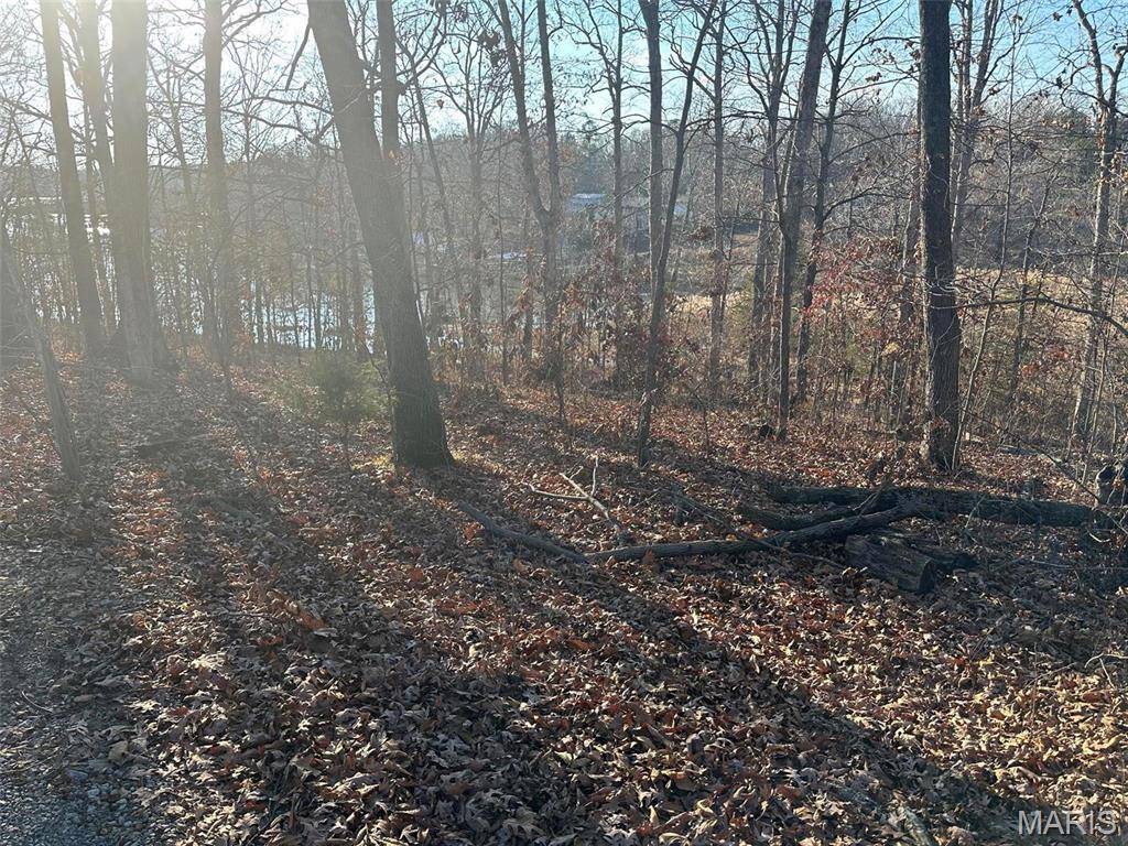 Creal Springs, IL 62922,12 Wagon Creek Loop
