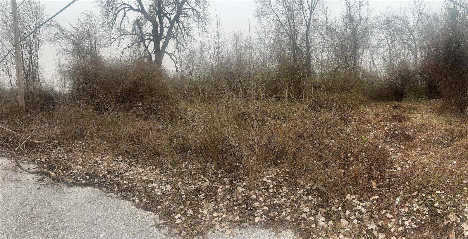 St Louis, MO 63133,6447 Suburban AVE