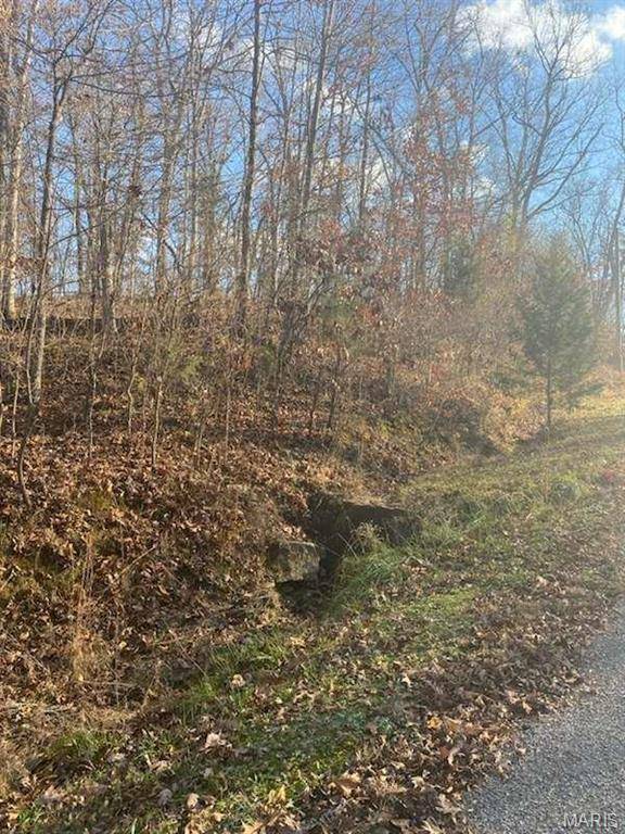 Creal Springs, IL 62922,18 Wagon Creek Loop