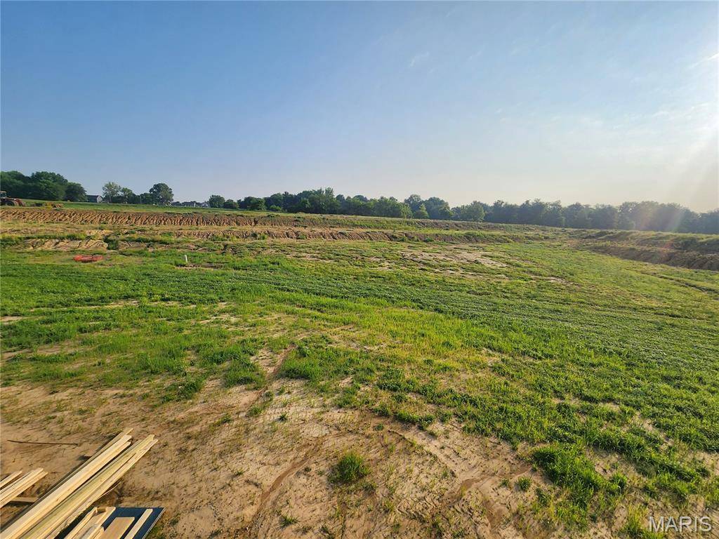 O'fallon, IL 62269,716 Creekwood CT