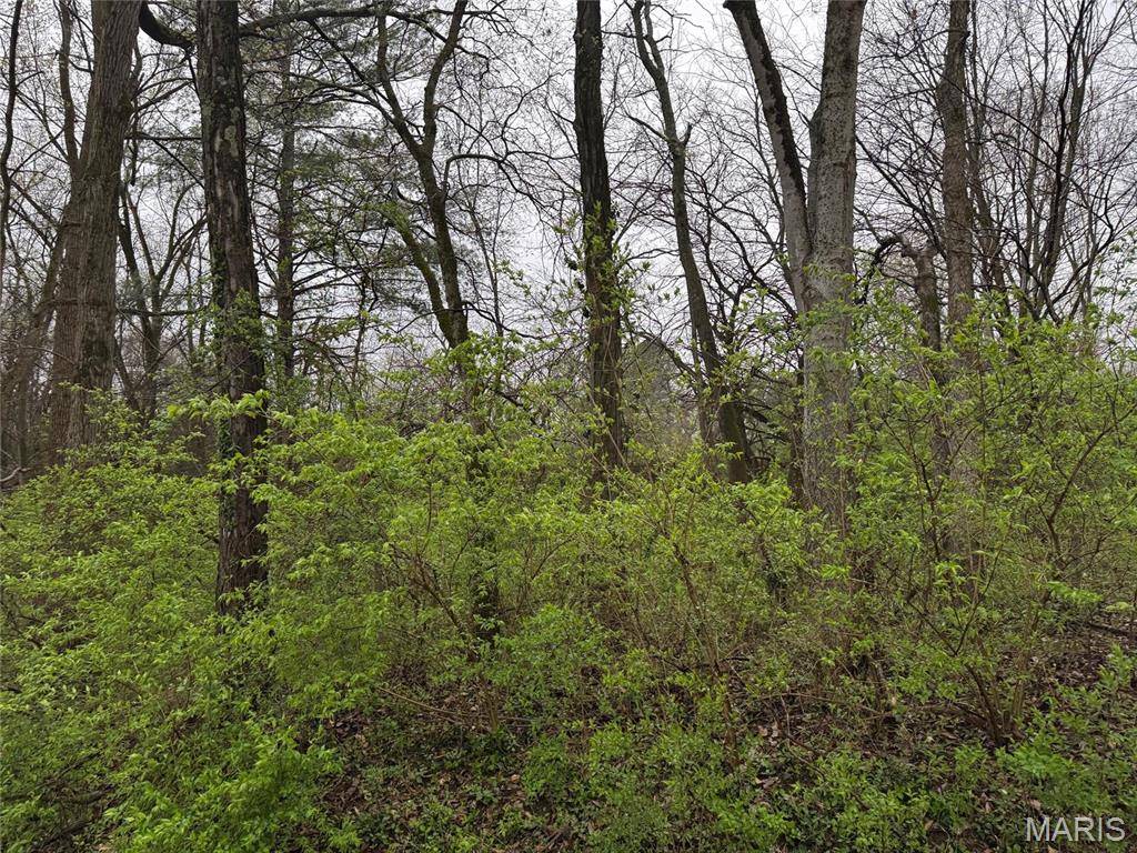 Ramsey, IL 62080,9 WOOD DUCK DRIVE