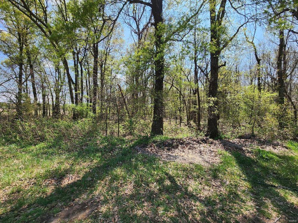 Neelyville, MO 63954,0 S County Road 268