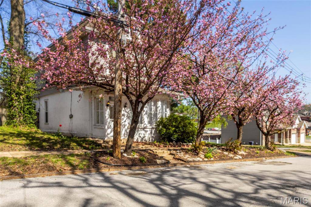 St Louis, MO 63143,7163 Wellington