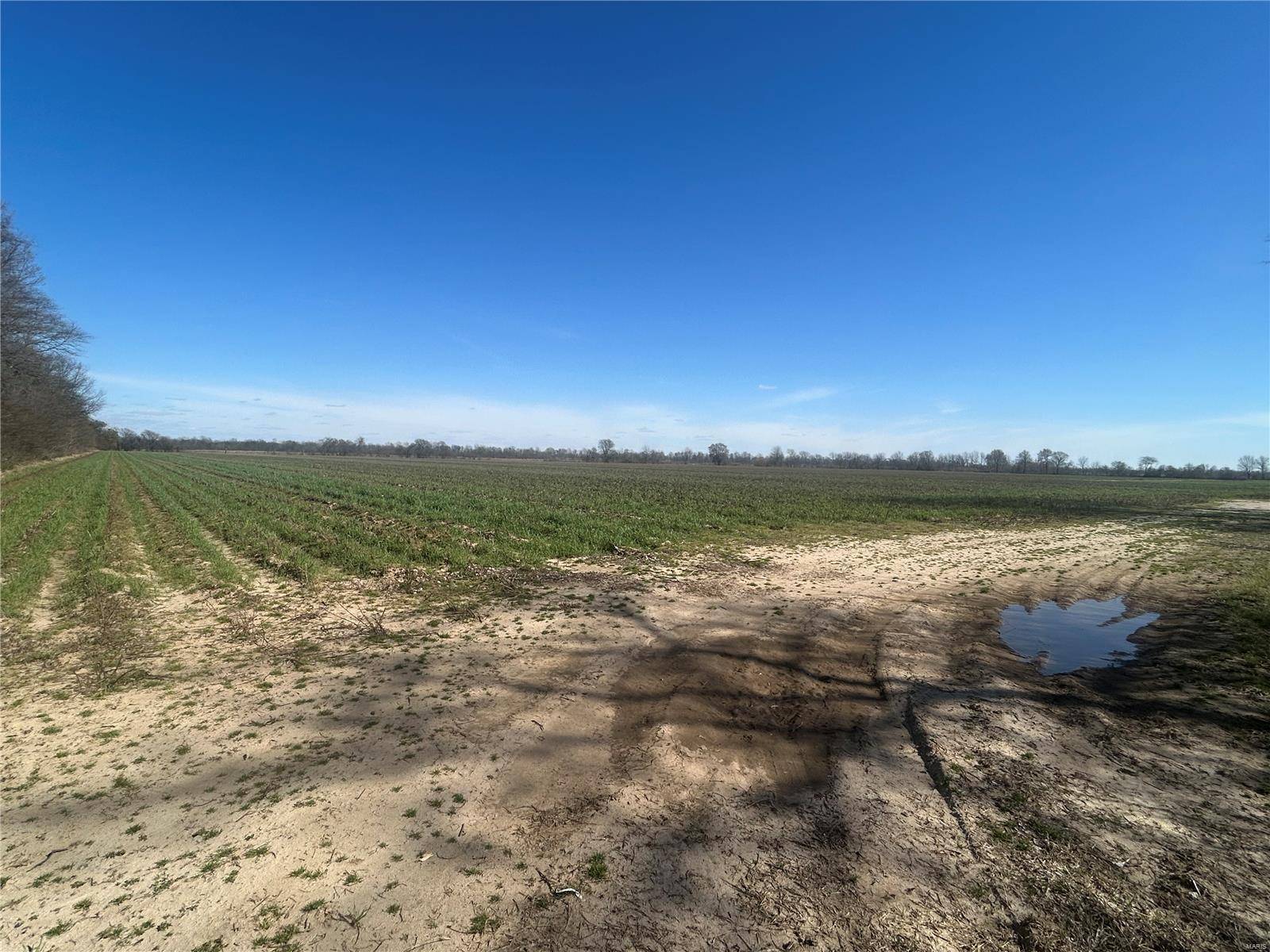 Hornersville, MO 63855,0 Hwy Y Rear L