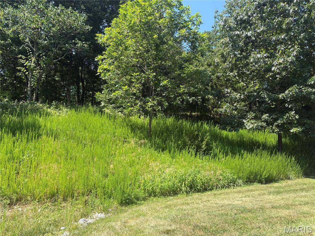 Chesterfield, MO 63005,19382 Babler Forest RD