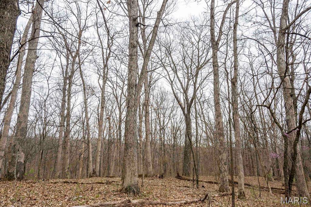 Eolia, MO 63344,0 Pike 224