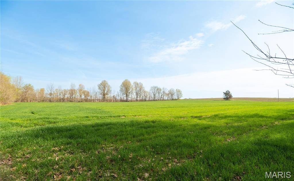 Dexter, MO 63841,123 County Road 639