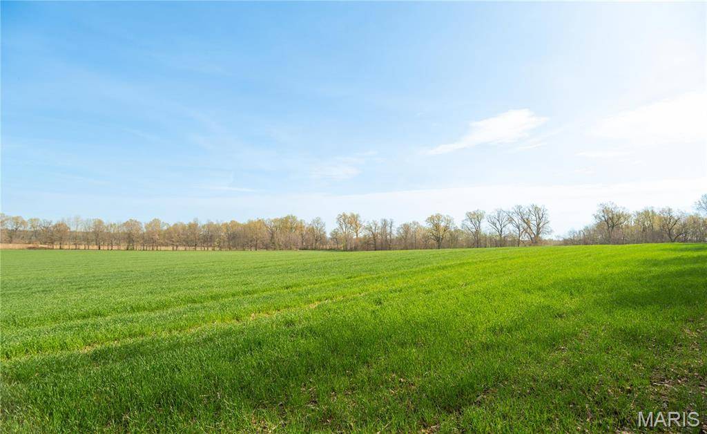 Dexter, MO 63841,123 County Road 639
