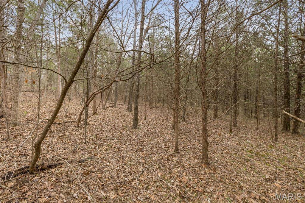 Dittmer, MO 63023,0 Sycamore RD #Lot 66