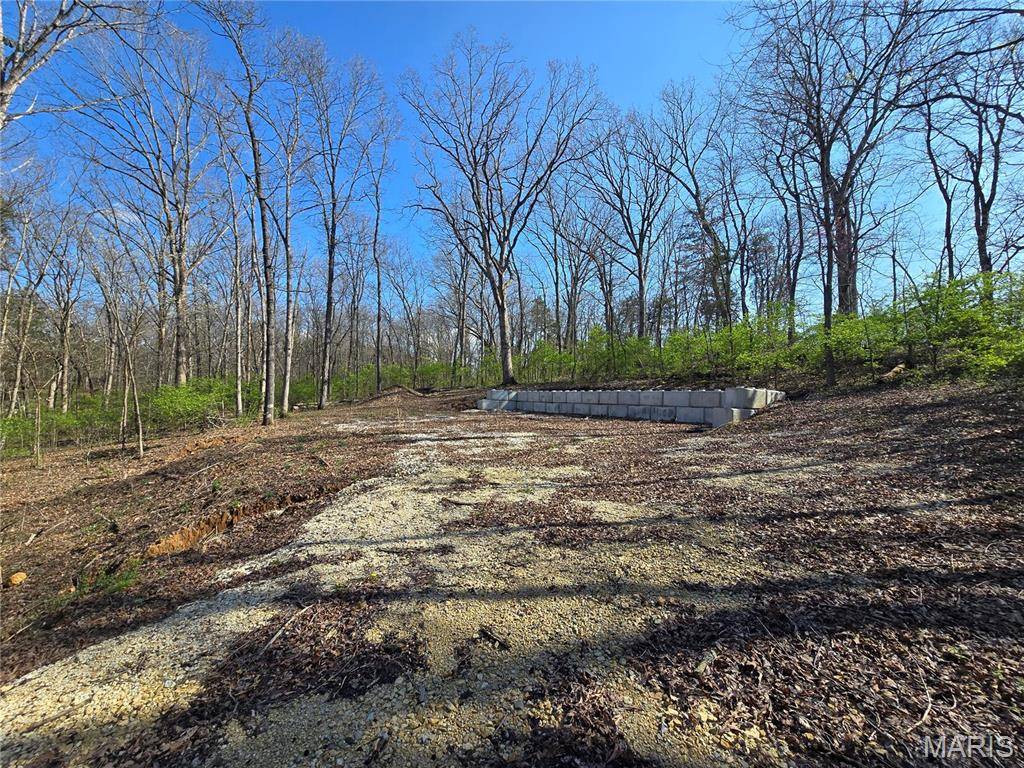 Hillsboro, MO 63050,6518 S Lakeshore DR