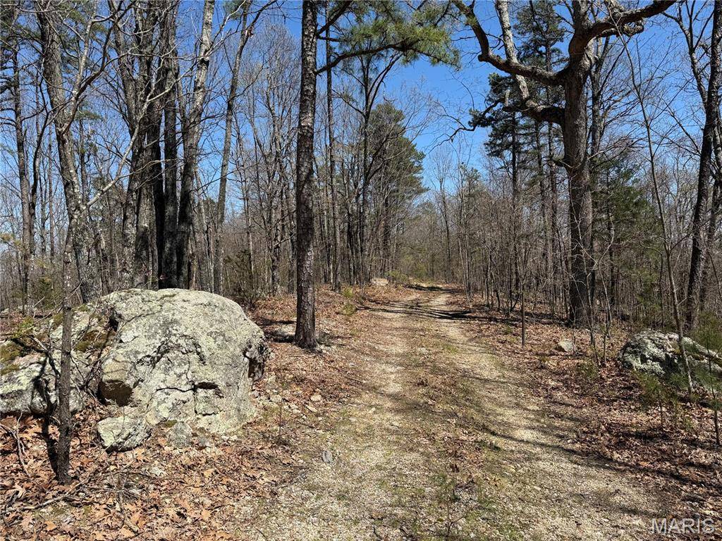 Belleview, MO 63623,1 Off FSR 2531