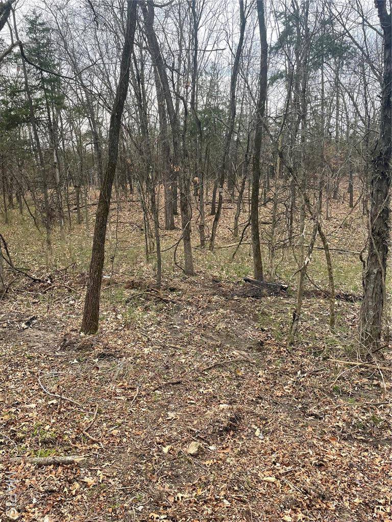 Monroe City, MO 63456,12 Riley Road