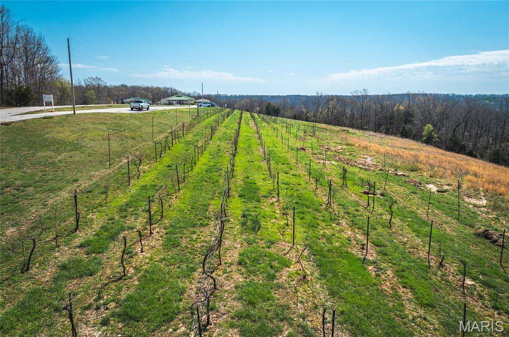 Ste Genevieve, MO 63670,21124 Cave RD