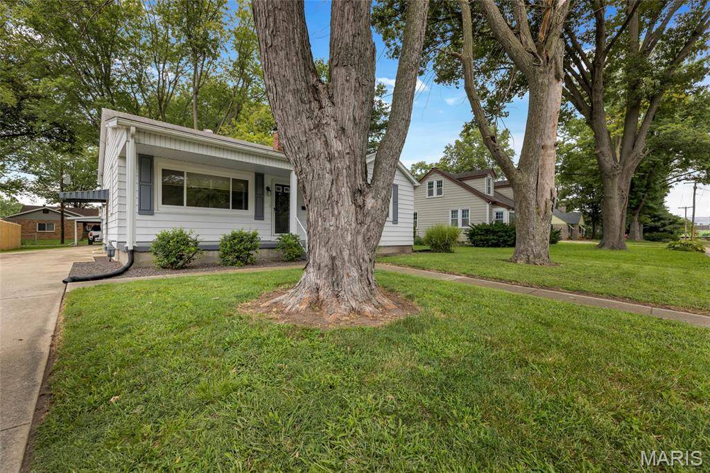 Mascoutah, IL 62258,509 N Jefferson ST