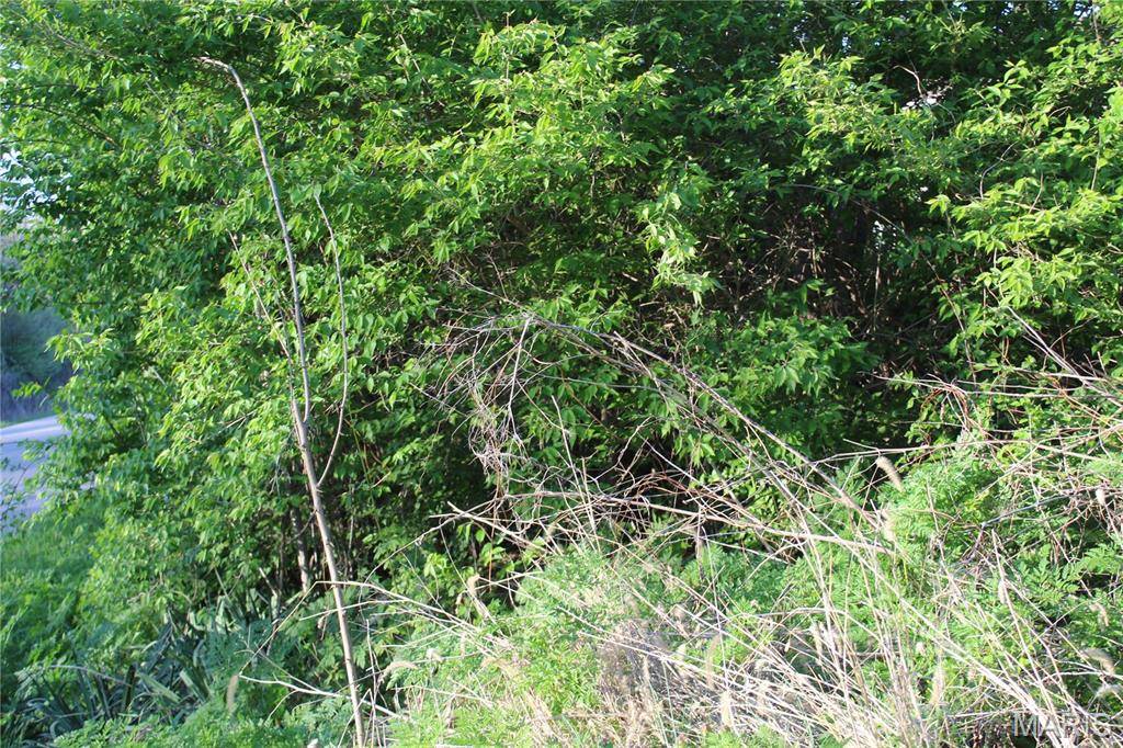 Foristell, MO 63348,31530 N Springtown Rd #Lot 797