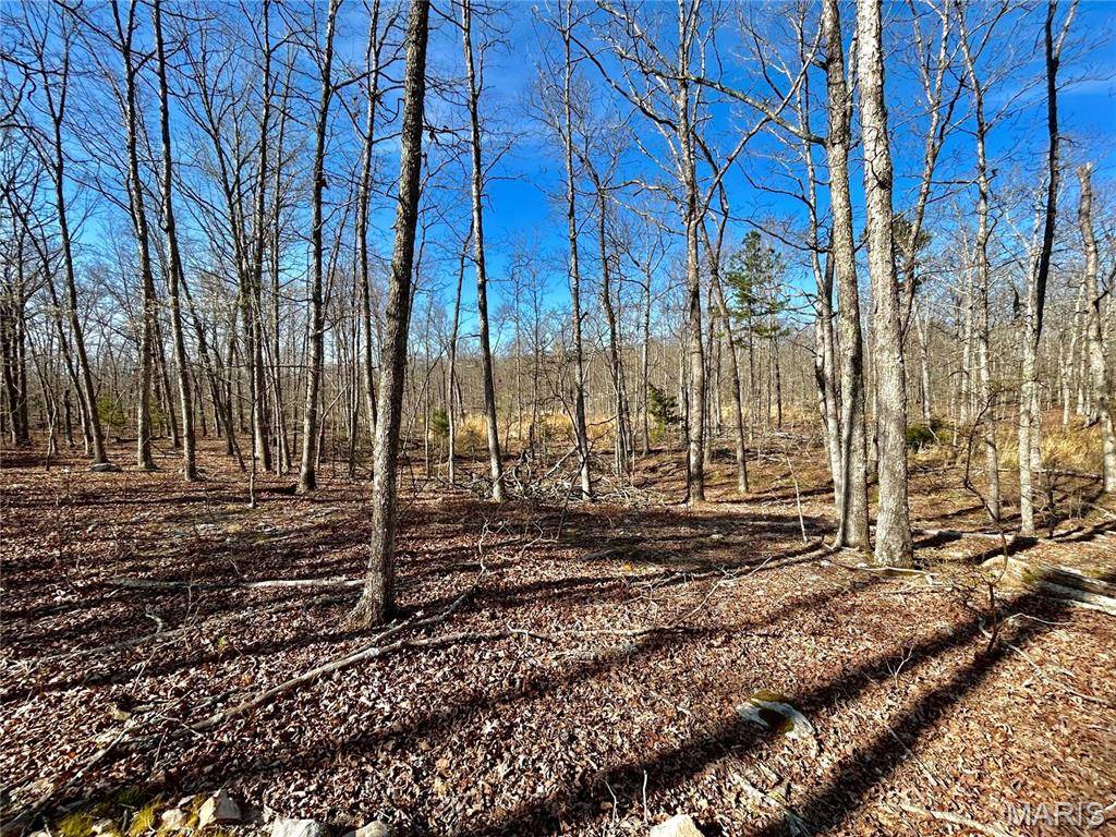 Salem, MO 65560,0 TBD Tract 2 County Road 6570