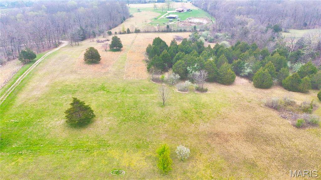 Bonne Terre, MO 63628,8509 Hillsboro RD