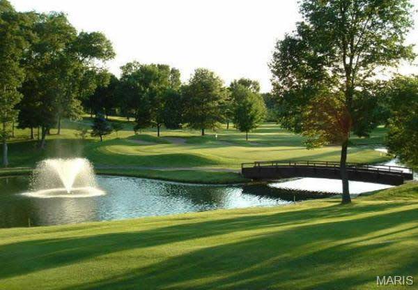 Dardenne Prairie, MO 63368,242 Kerry Downs DR