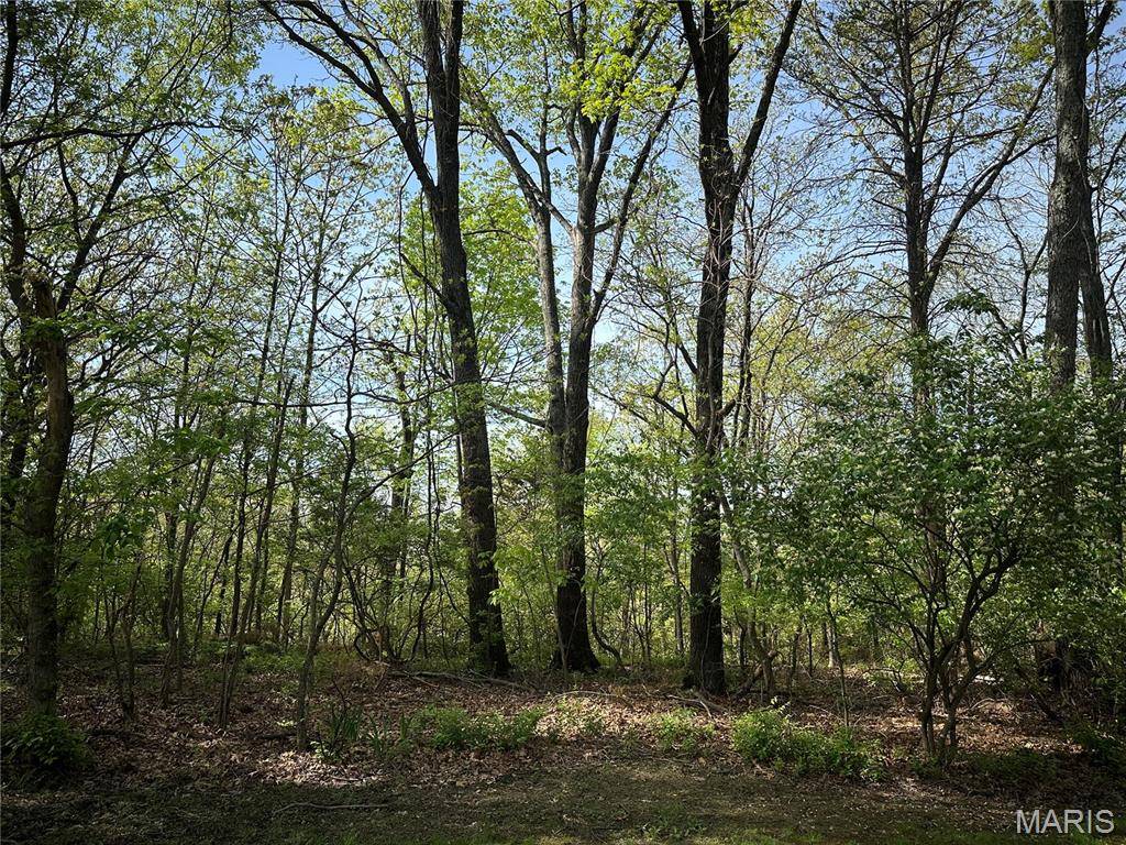 Imperial, MO 63052,22 Sun Ridge Estates