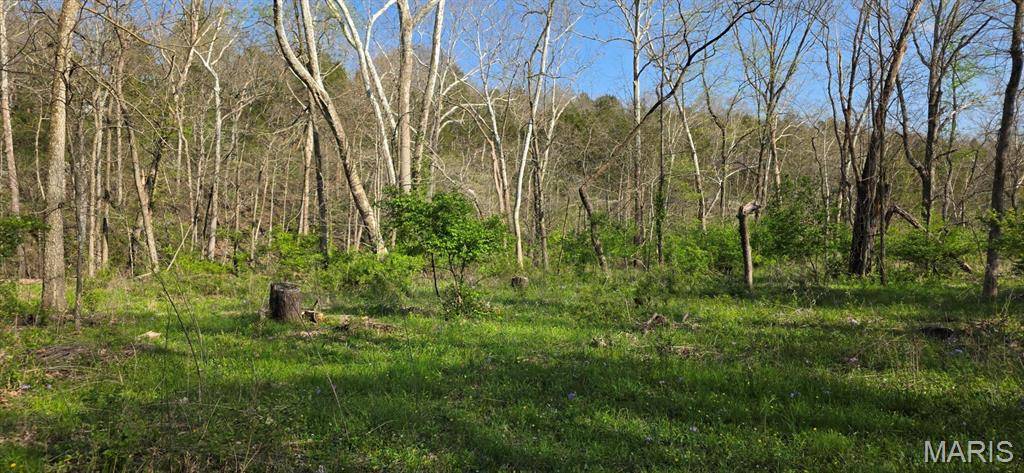 Dittmer, MO 63023,8332 Portland LN